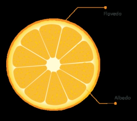 קסם הדרים: פתיחת סודות הבריאות בכל לגימה של מיץ גזר-תפוזים