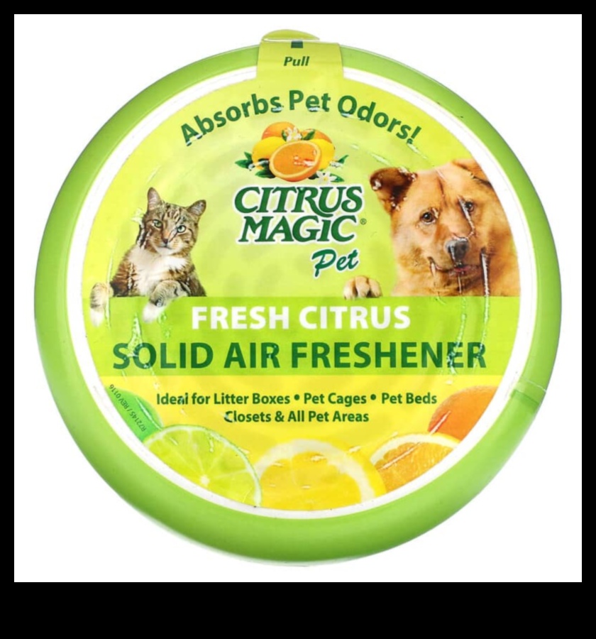 קסם הדרים: פתיחת סודות הבריאות בכל לגימה של מיץ גזר-תפוזים