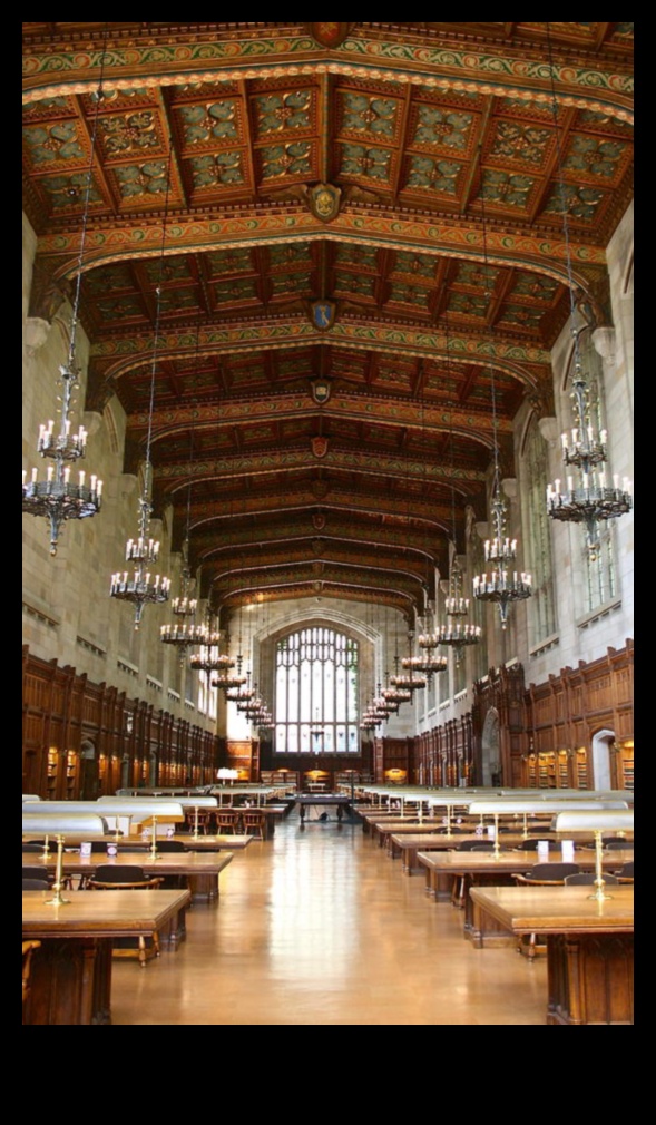 הוד גותי בחיים: האומנות של הצילום האדריכלי