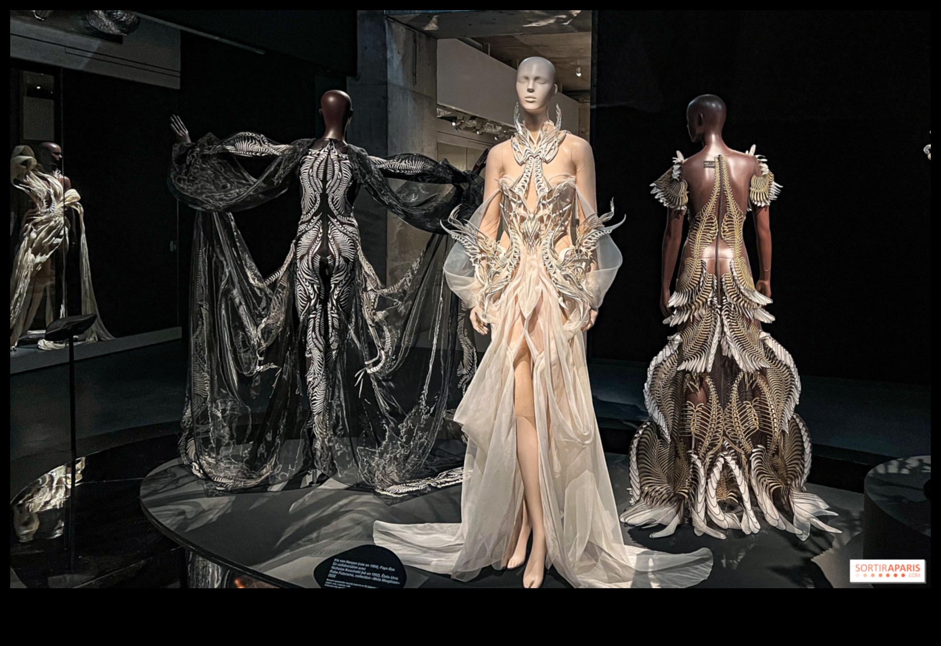 מורשת עילית: מסע חזותי בצילומי אופנה