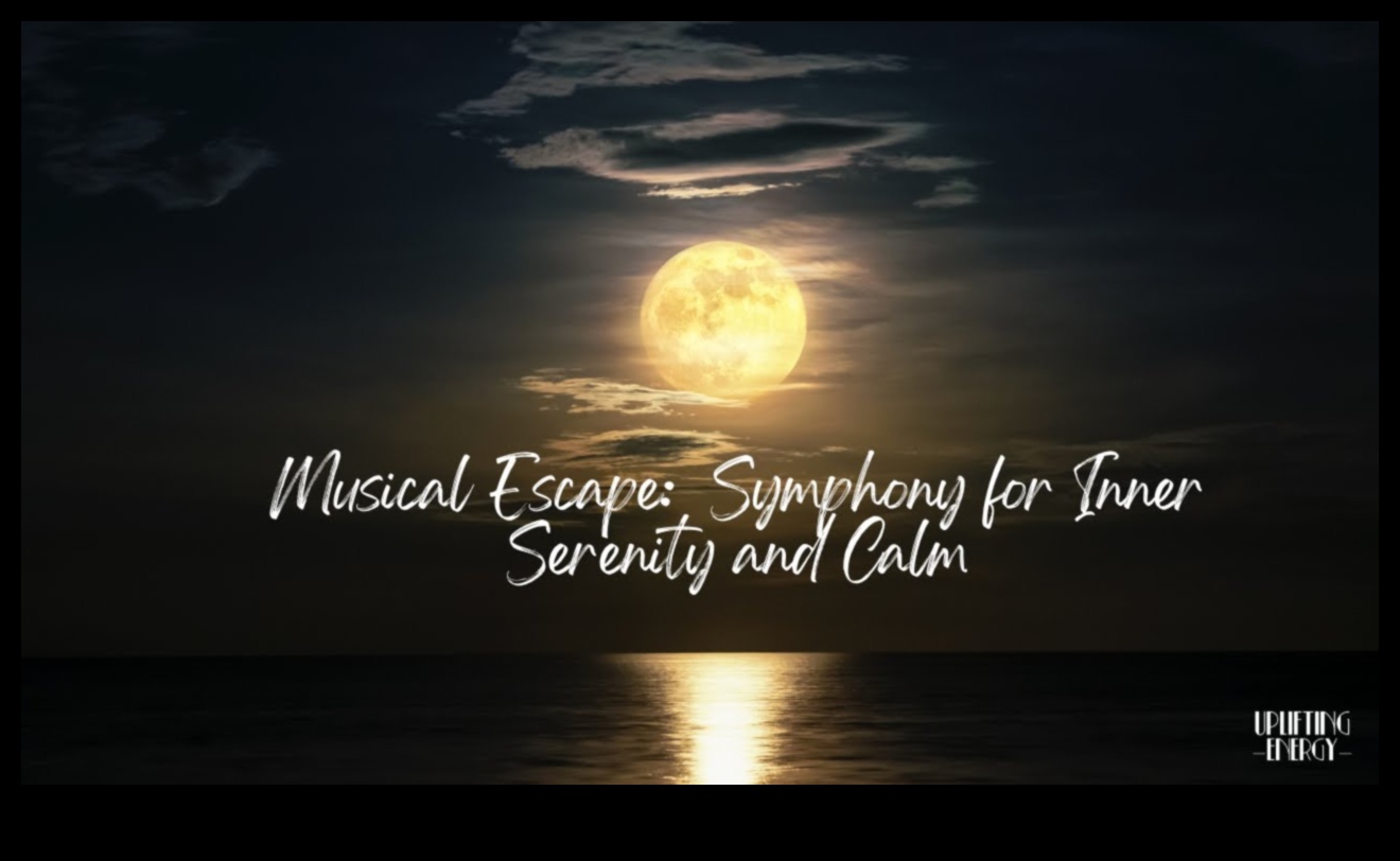 סימפוניית שלווה: הרמוניה של מנגינות החיים עם הפגת מתח אפקטיבית