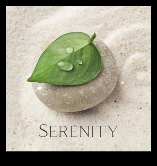 סימפוניית שלווה: הרמוניה של מנגינות החיים עם הפגת מתח אפקטיבית