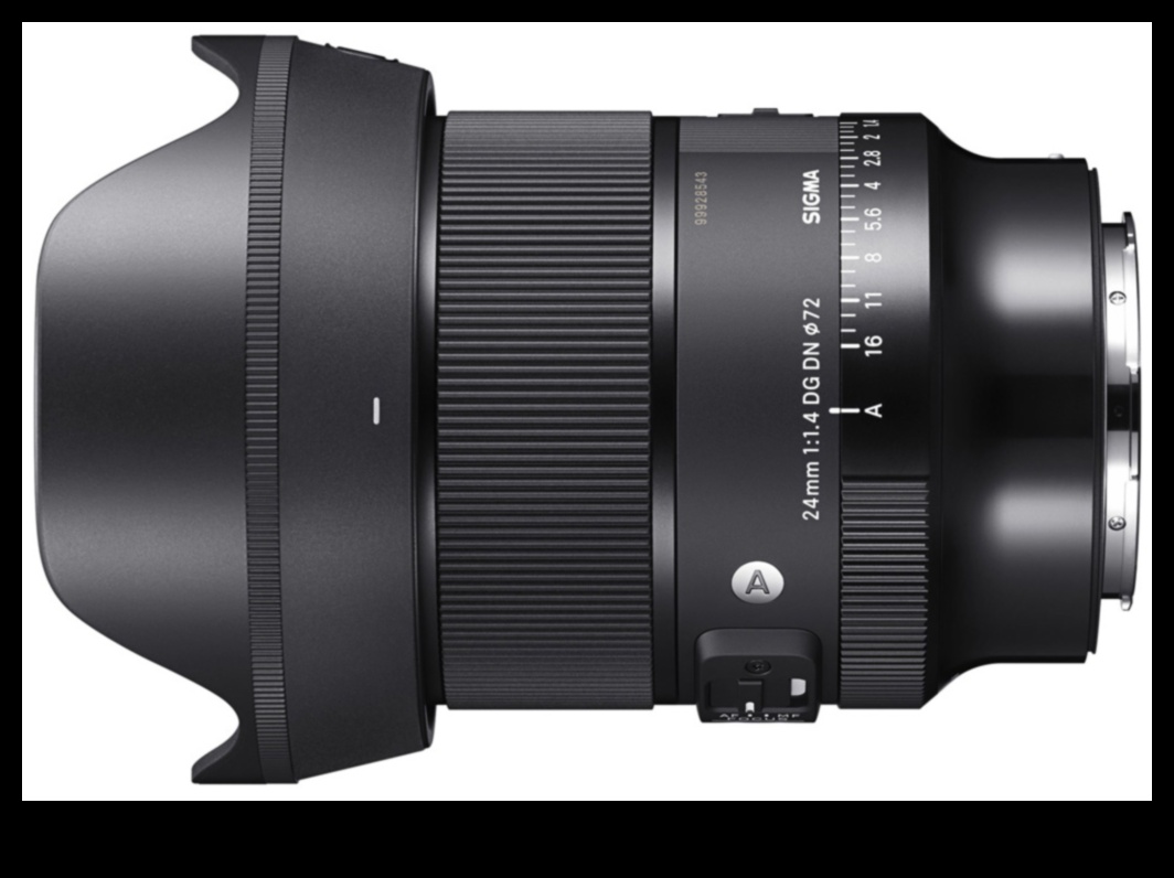 אומנות ניתנת להתאמה: שחרור יצירתיות עם עדשות מגוונות