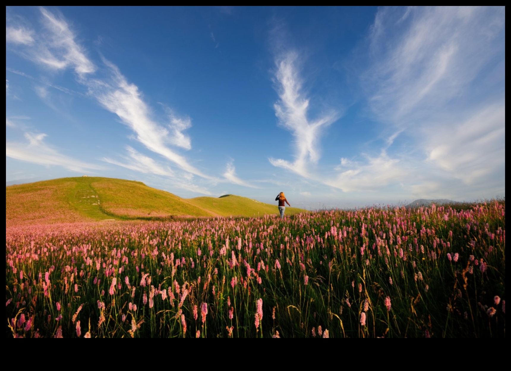 שליטה דיגיטלית: העלאת צילום באמצעות עריכה מדויקת