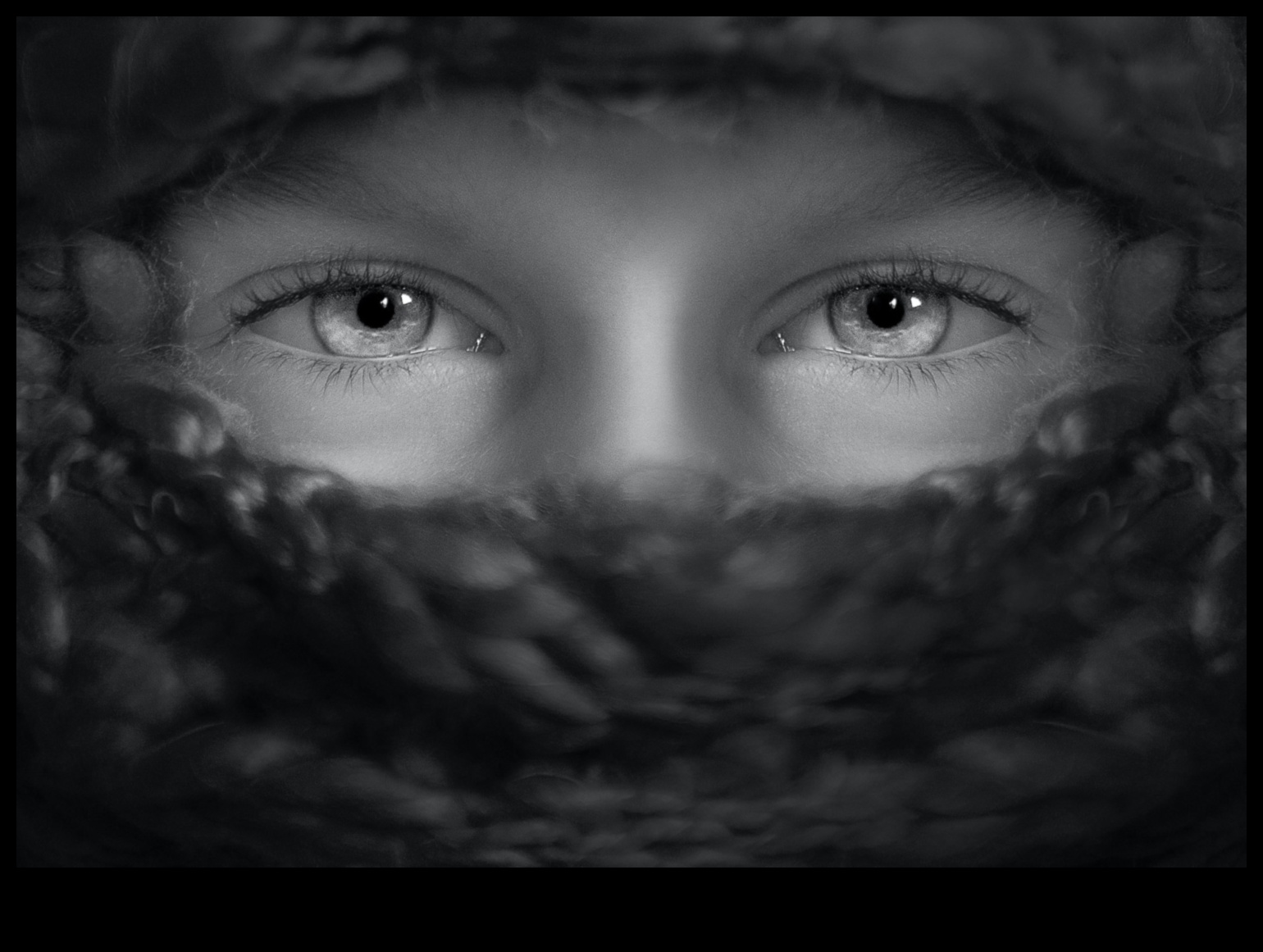 מצוינות פורטרט: טכניקות מקצועיות לצילום פורטרטים שובה לב