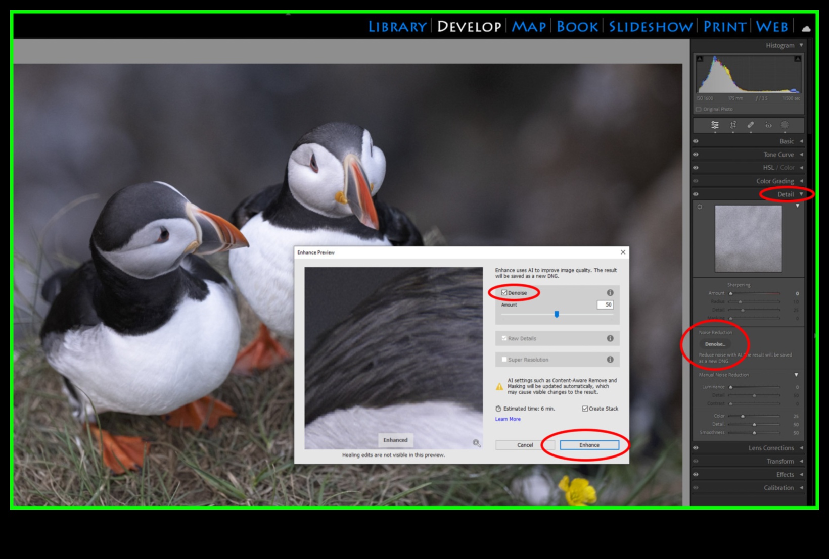 מצוינות בעריכה: שליטה בפוסט-עיבוד עם הדרכות