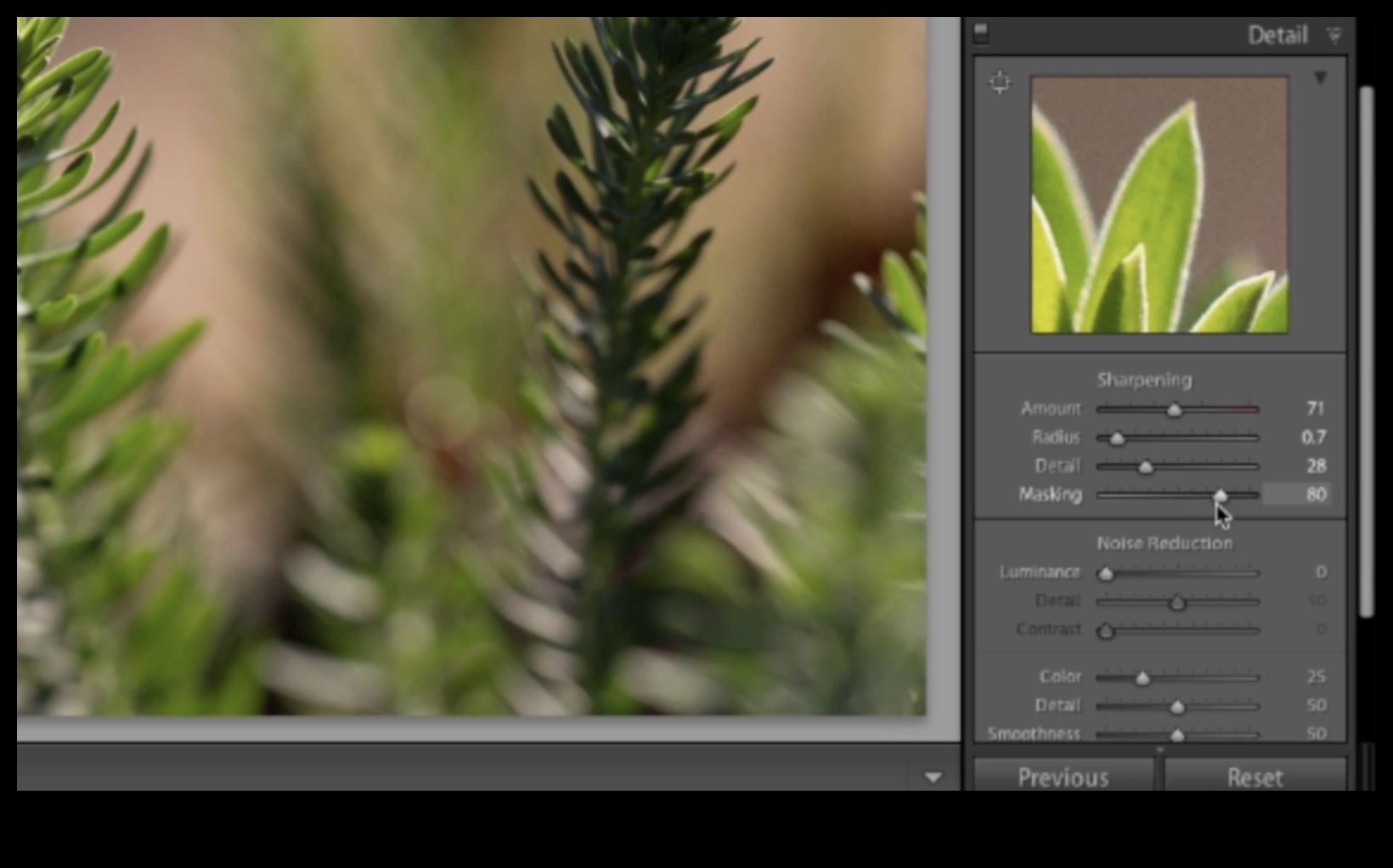 מצוינות בעריכה: שליטה בפוסט-עיבוד עם הדרכות