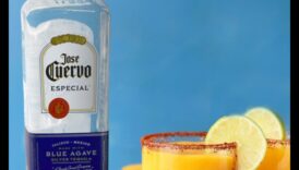 Fruity Fusion Fantasy: יצירת שילובים קסומים במיצים טריים