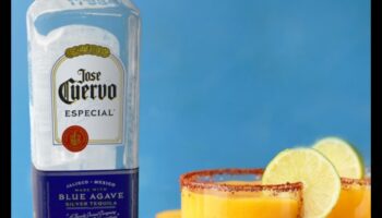 Fruity Fusion Fantasy: יצירת שילובים קסומים במיצים טריים