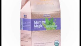 קסם תה בטעמים: פתיחת הסודות של כוס צוננת מושלמת