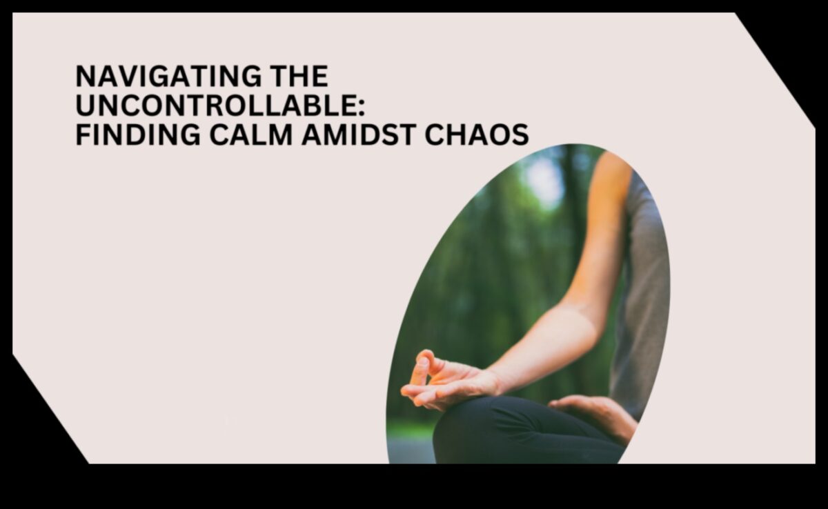 רגוע בתוך כאוס: ניווט בחיים באמצעות מדיטציה