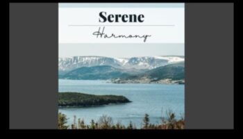 סימפוניית שלווה: הרמוניה של מנגינות החיים עם הפגת מתח אפקטיבית